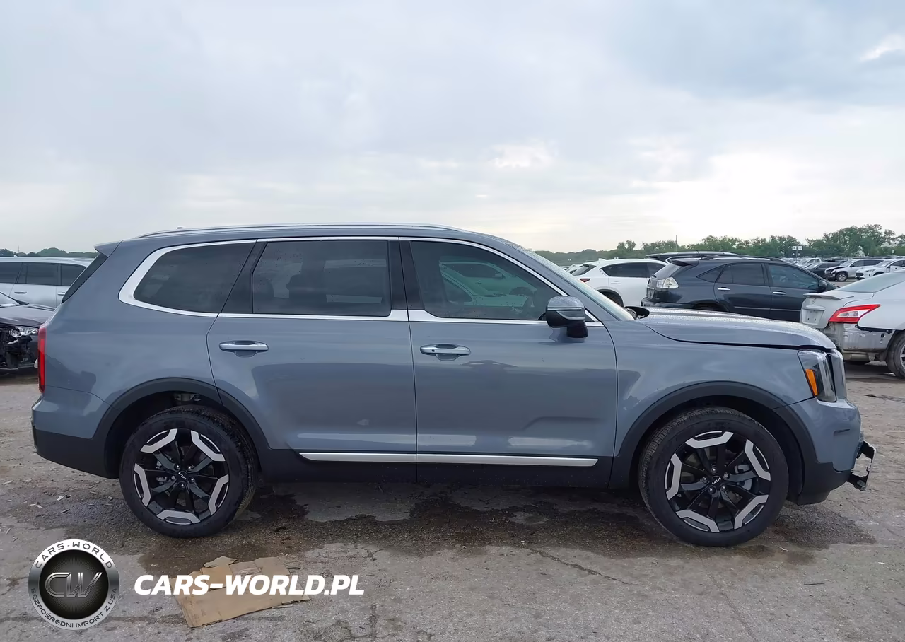 2025 Kia Telluride S VIN:5XYP64GC9SG706952 - 13