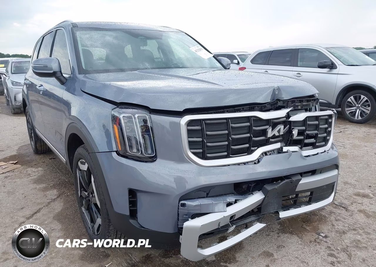 2025 Kia Telluride S VIN:5XYP64GC9SG706952 - 6