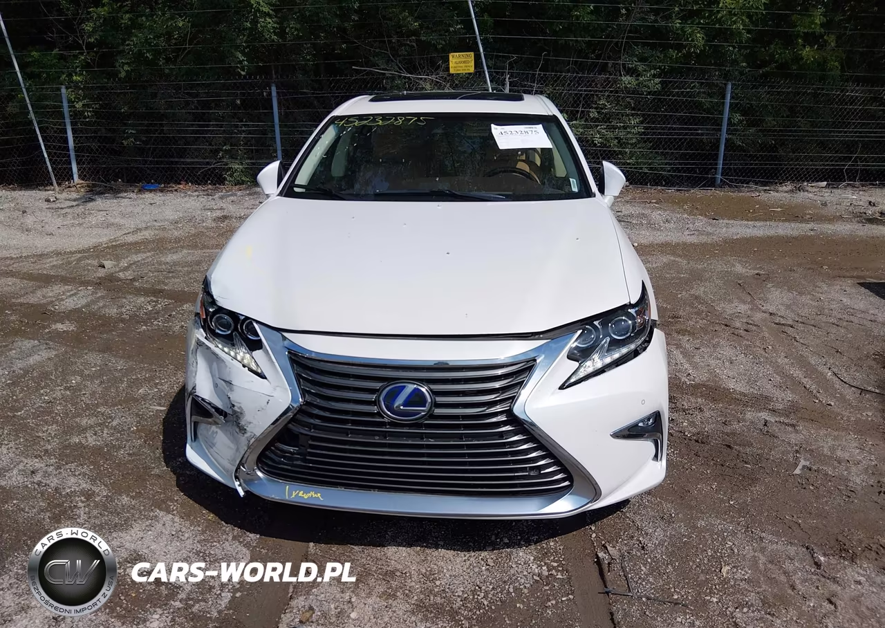 2017 Lexus Es 300H VIN:JTHBW1GGXH2145481 - 12