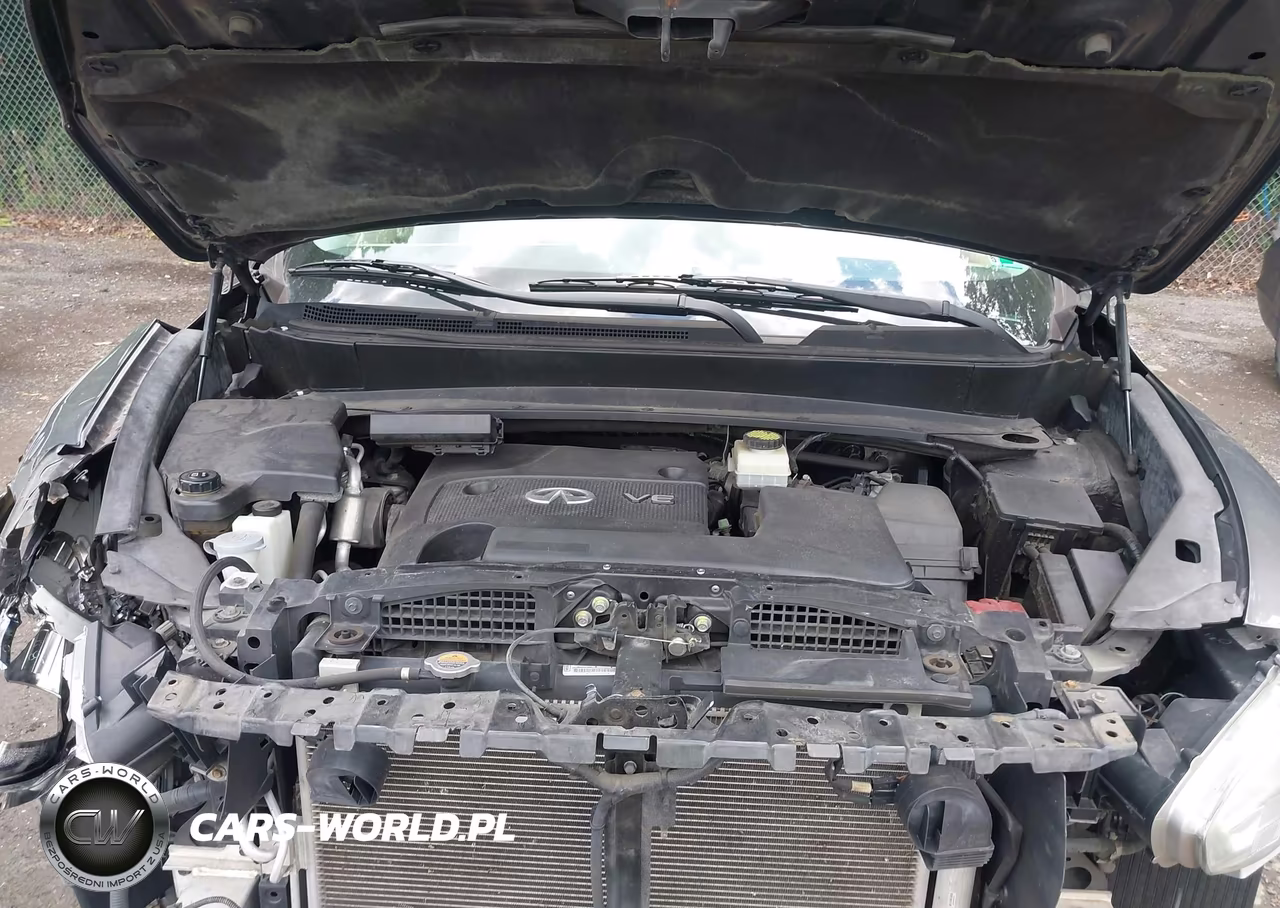 2015 Infiniti Qx60 VIN:5N1AL0MM0FC520114 - 10