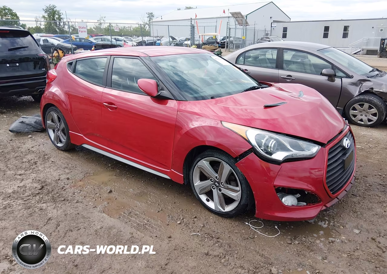 2013 Hyundai Veloster Turbo W-Black VIN:KMHTC6AE5DU163271 - 1