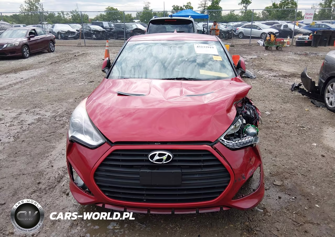 2013 Hyundai Veloster Turbo W-Black VIN:KMHTC6AE5DU163271 - 13
