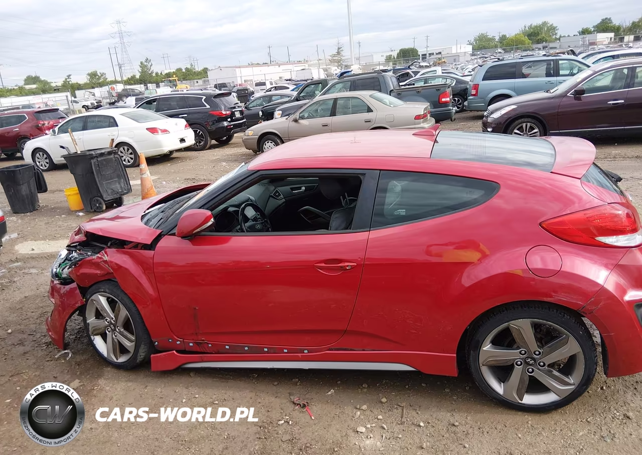 2013 Hyundai Veloster Turbo W-Black VIN:KMHTC6AE5DU163271 - 15