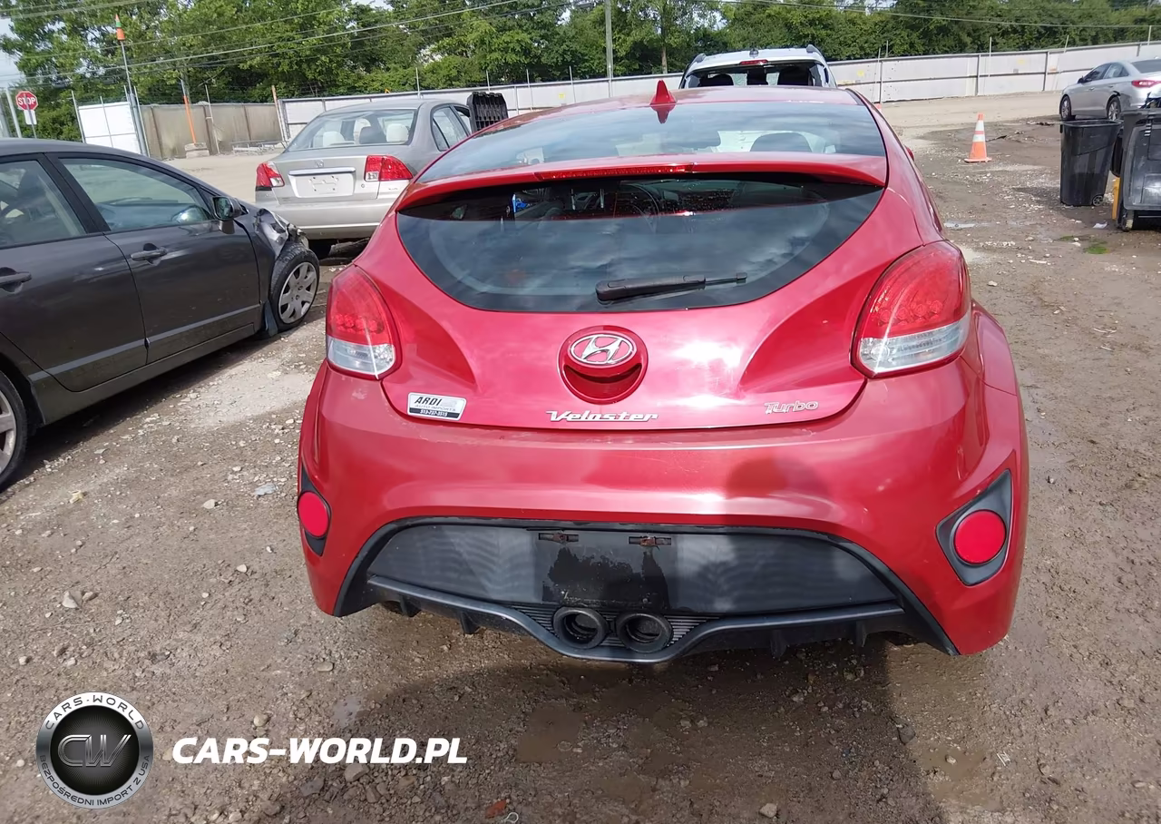 2013 Hyundai Veloster Turbo W-Black VIN:KMHTC6AE5DU163271 - 17
