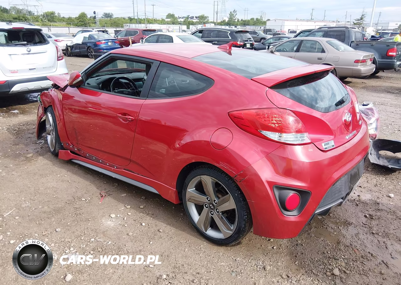 2013 Hyundai Veloster Turbo W-Black VIN:KMHTC6AE5DU163271 - 3