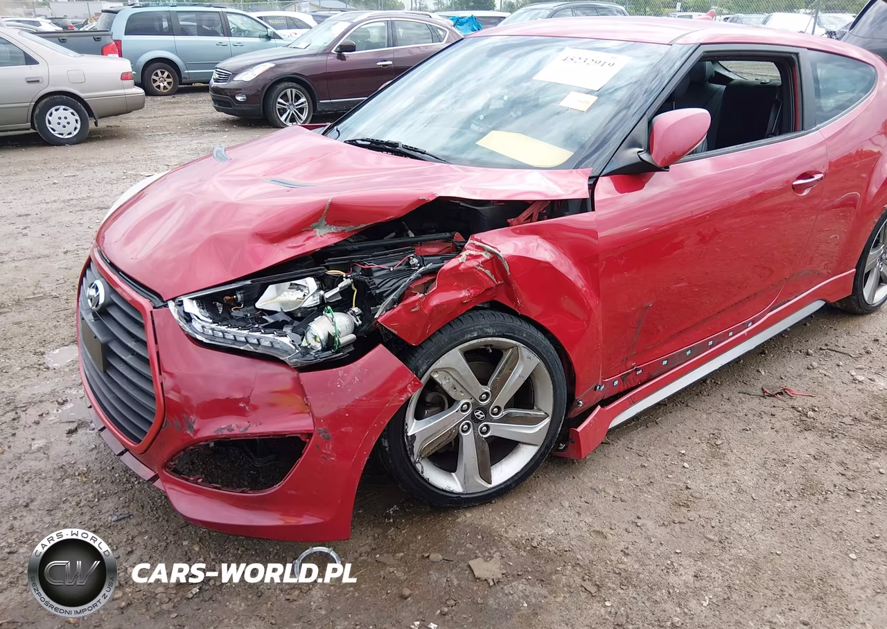 2013 Hyundai Veloster Turbo W-Black VIN:KMHTC6AE5DU163271 - 6