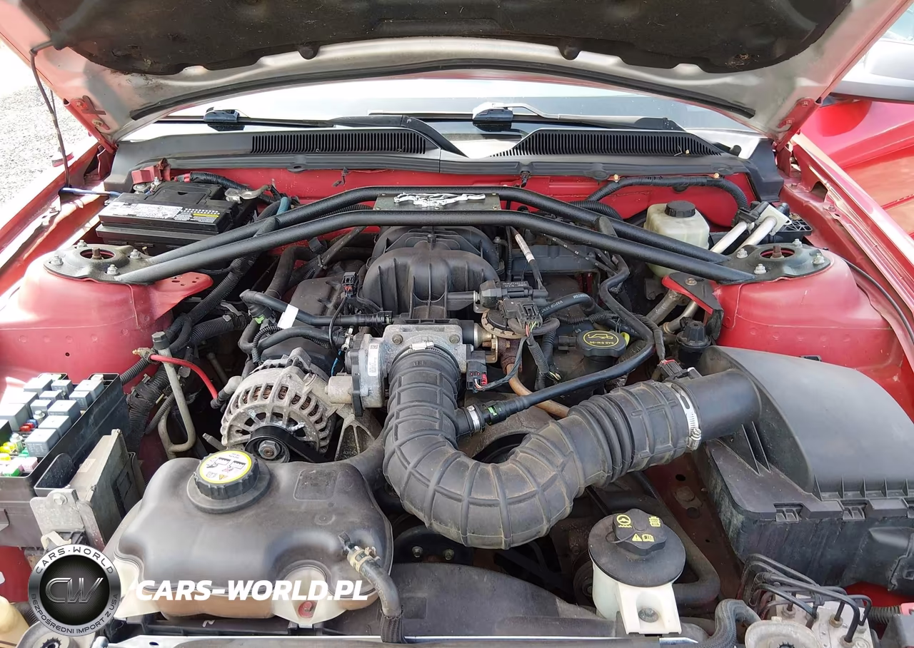 2006 Ford Mustang V6 VIN:1ZVFT84NX65138675 - 10