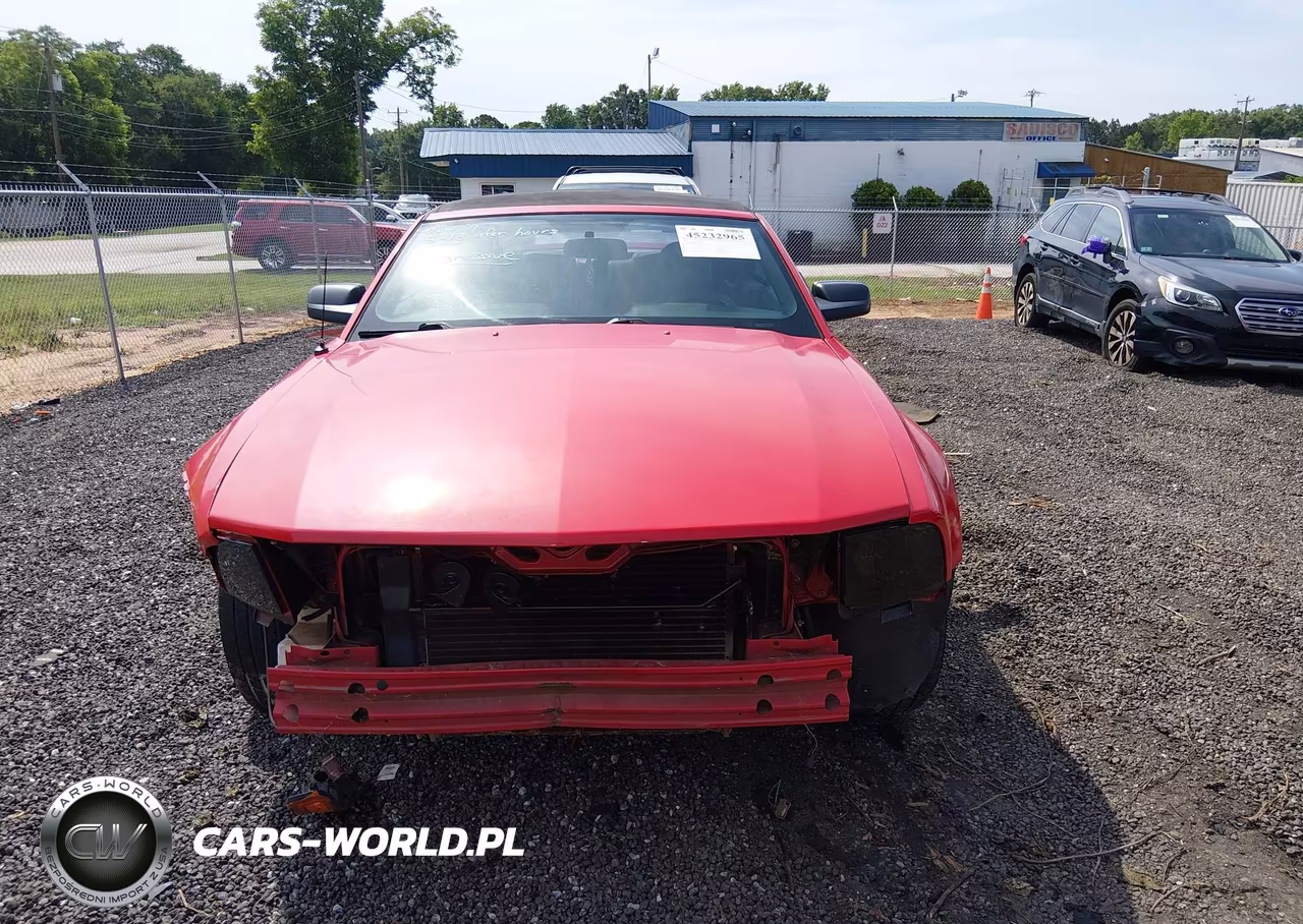 2006 Ford Mustang V6 VIN:1ZVFT84NX65138675 - 12