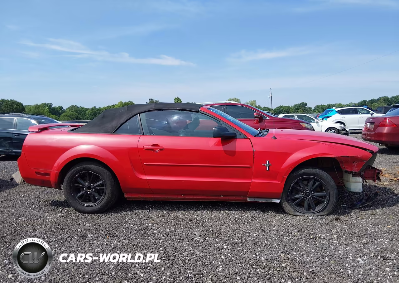 2006 Ford Mustang V6 VIN:1ZVFT84NX65138675 - 13
