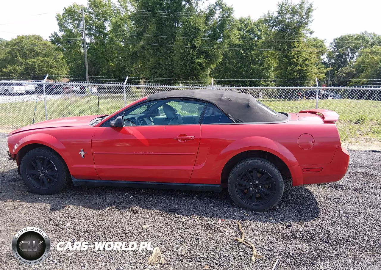2006 Ford Mustang V6 VIN:1ZVFT84NX65138675 - 14