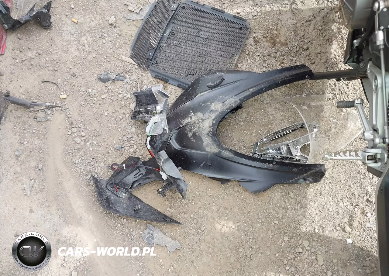 2025 Aprilia Rs 660 VIN:ZD4KSUG04SS003625 - 12