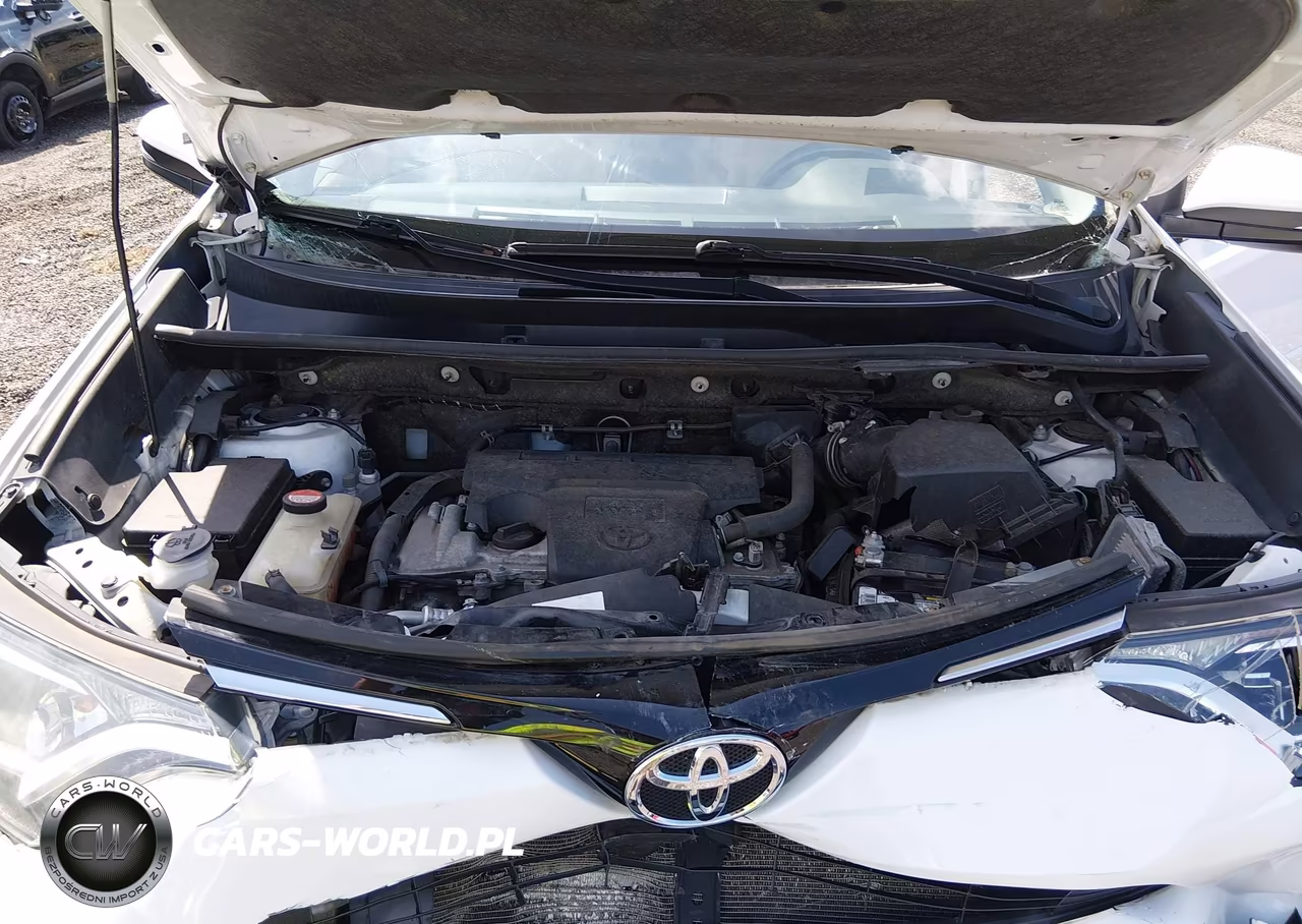 2016 Toyota Rav4 Xle VIN:JTMRFREV3GJ065377 - 10