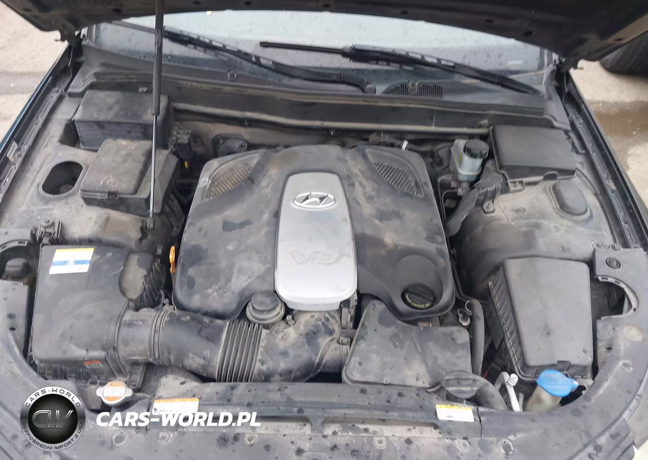 2011 Hyundai Genesis 4.6 VIN:KMHGC4DFXBU126806 - 10