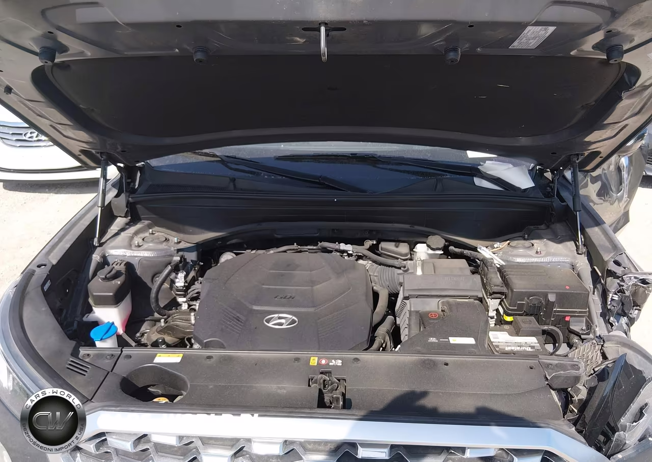 2021 Hyundai Palisade Limited VIN:KM8R5DHE6MU244858 - 10