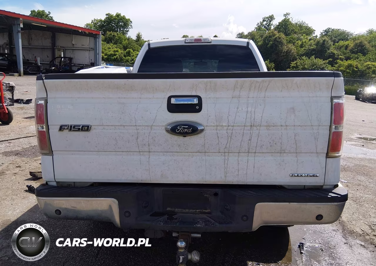 2013 Ford F-150 Xlt VIN:1FTFW1CF8DFD76320 - 17