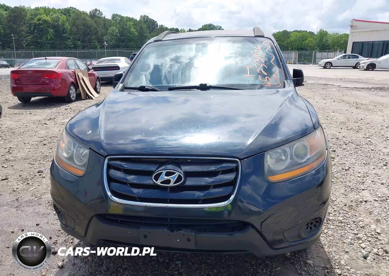 2010 Hyundai Santa Fe Gls VIN:5NMSGDAB3AH359288 - 6