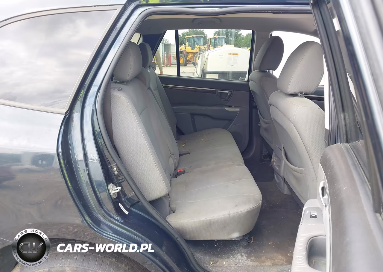 2010 Hyundai Santa Fe Gls VIN:5NMSGDAB3AH359288 - 8