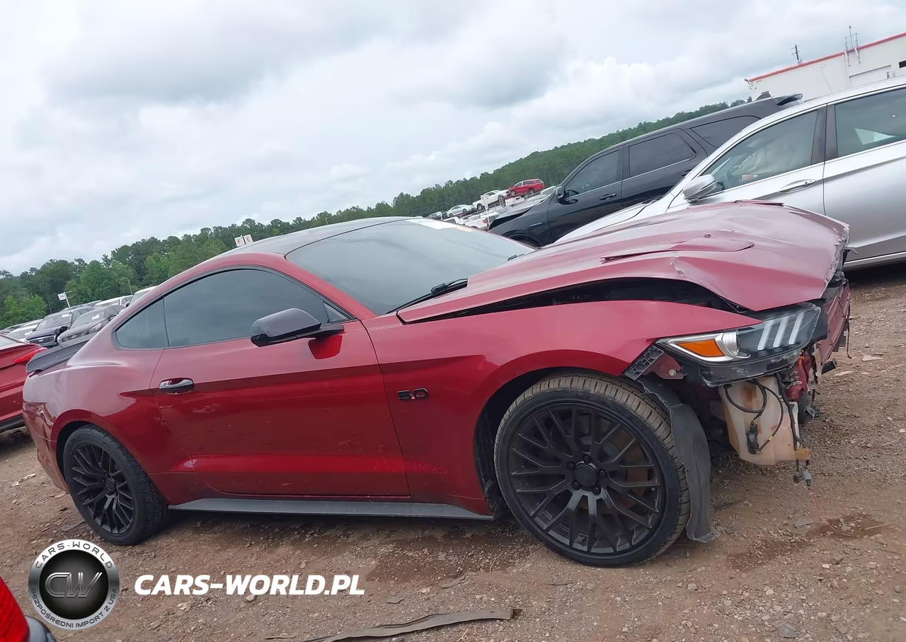 2016 Ford Mustang Gt VIN:1FA6P8CFXG5332518 - 13