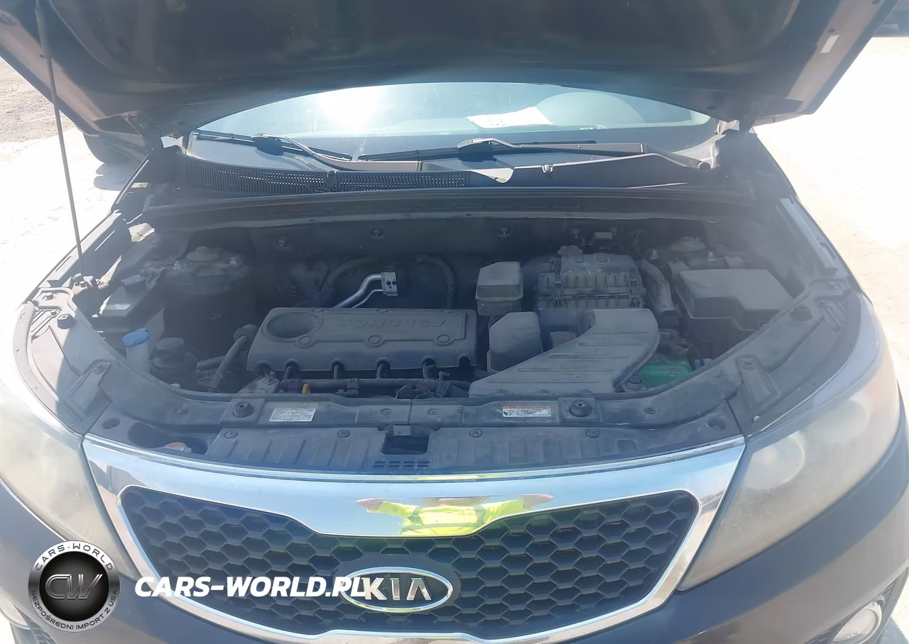 2011 Kia Sorento Lx VIN:5XYKTCA15BG019973 - 10