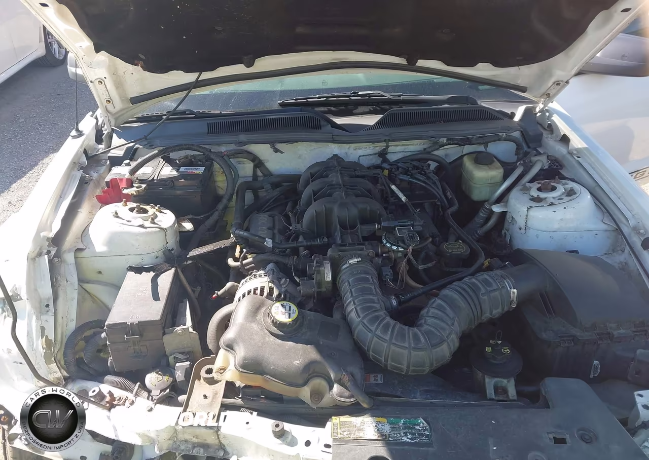 2007 Ford Mustang V6 Deluxe-V6 Premium VIN:1ZVFT80N775245450 - 10