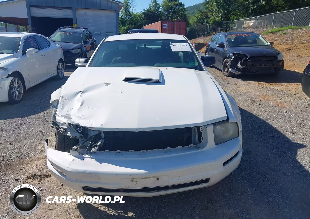 2007 Ford Mustang V6 Deluxe-V6 Premium VIN:1ZVFT80N775245450 - 12