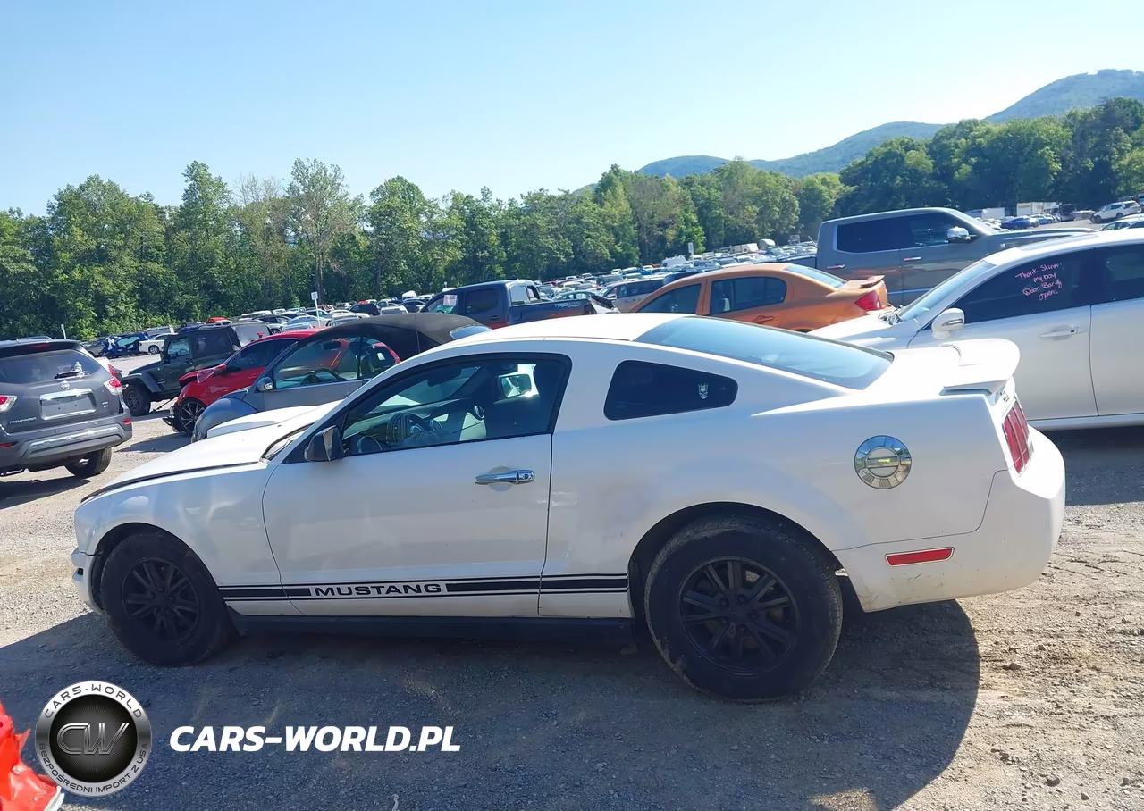 2007 Ford Mustang V6 Deluxe-V6 Premium VIN:1ZVFT80N775245450 - 14