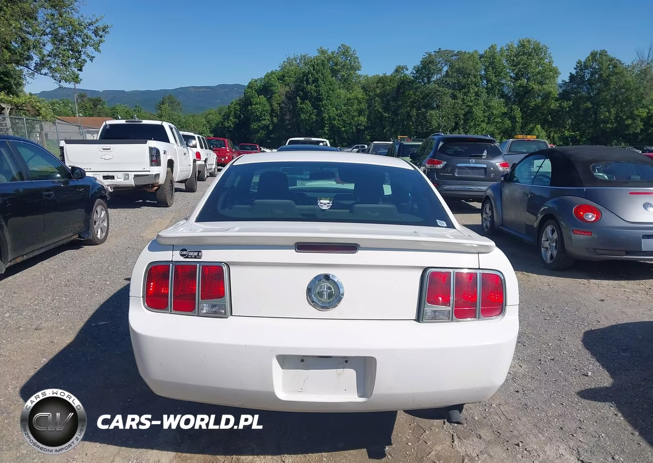2007 Ford Mustang V6 Deluxe-V6 Premium VIN:1ZVFT80N775245450 - 16