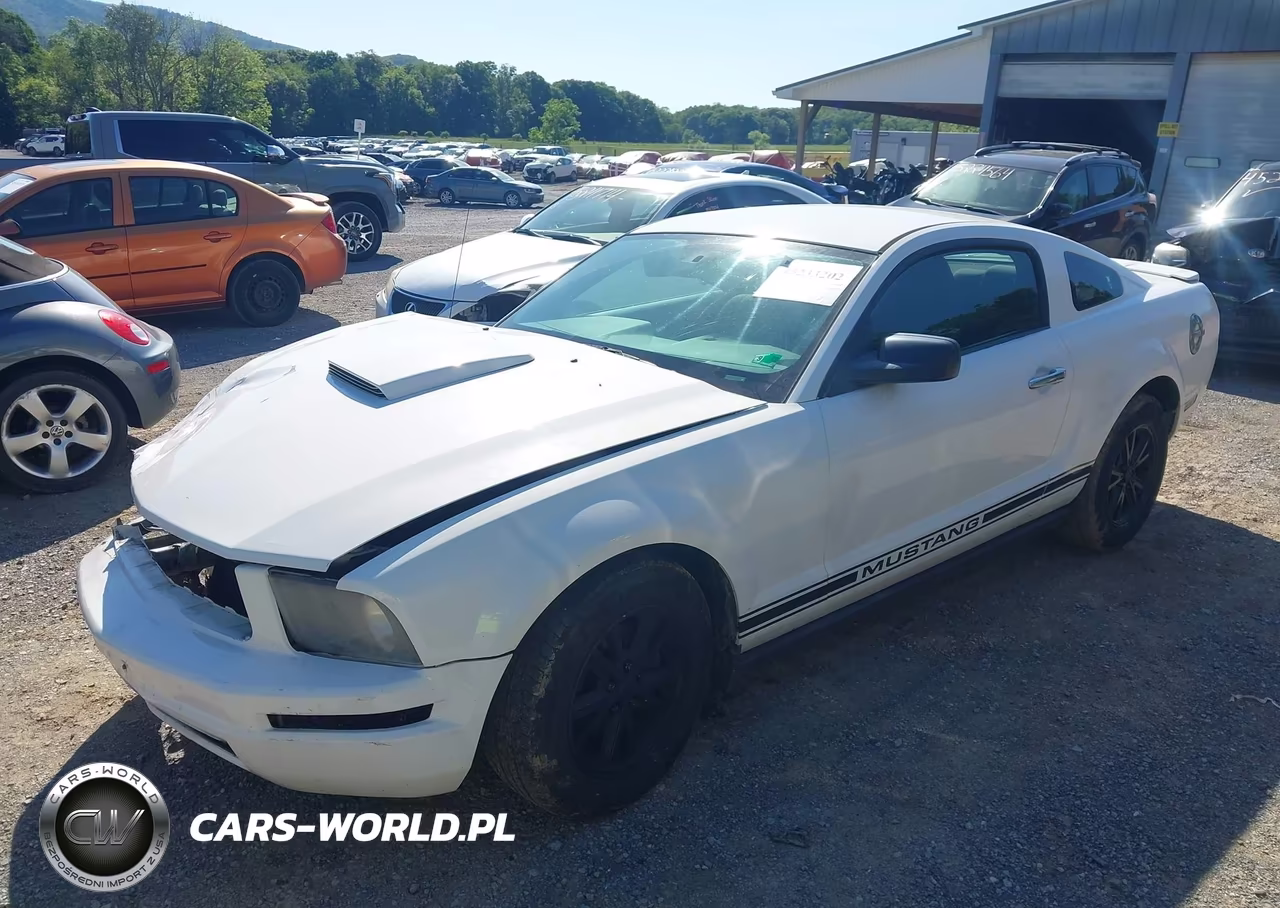 2007 Ford Mustang V6 Deluxe-V6 Premium VIN:1ZVFT80N775245450 - 2
