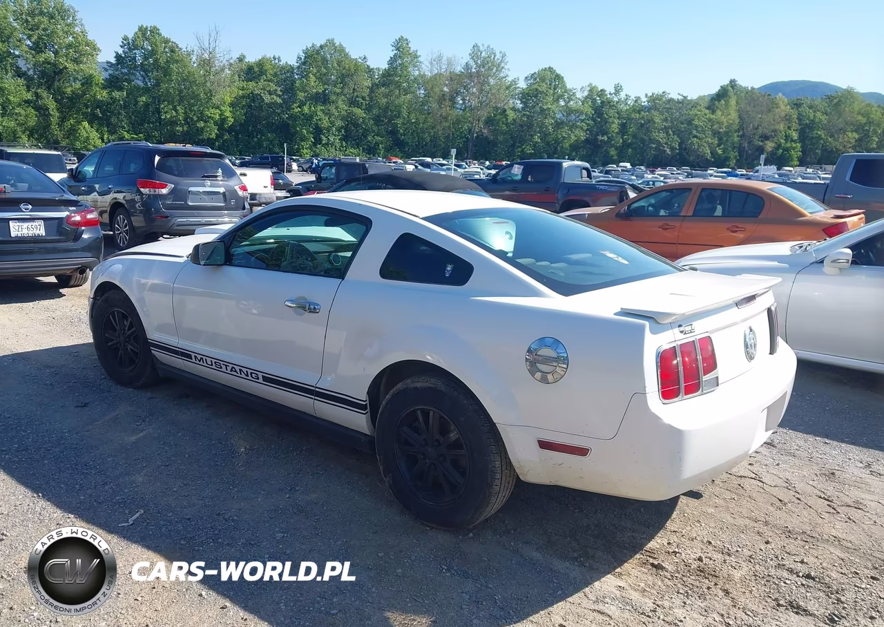 2007 Ford Mustang V6 Deluxe-V6 Premium VIN:1ZVFT80N775245450 - 3