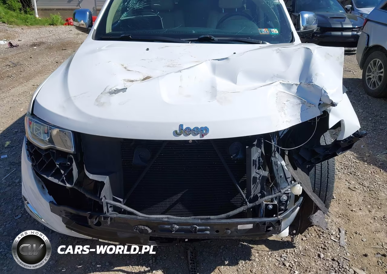 2019 Jeep Grand Cherokee Limited 4X4 VIN:1C4RJFBG8KC526976 - 6