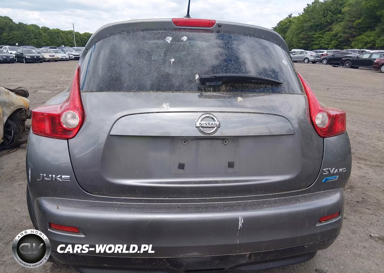2013 Nissan Juke Sv VIN:JN8AF5MVXDT224813 - 17