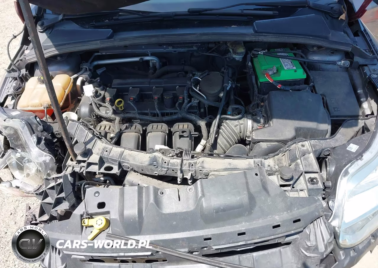 2014 Ford Focus Se VIN:1FADP3F23EL429250 - 10