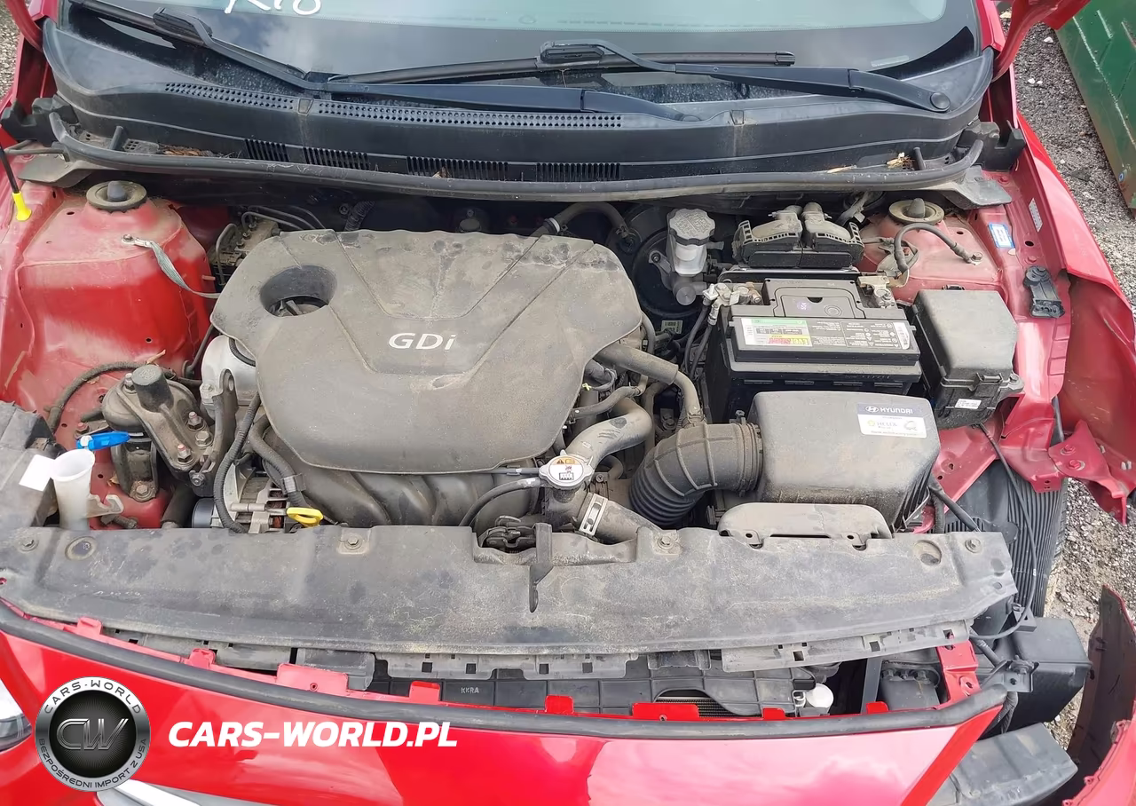 2016 Hyundai Accent Se VIN:KMHCT5AE2GU267473 - 10