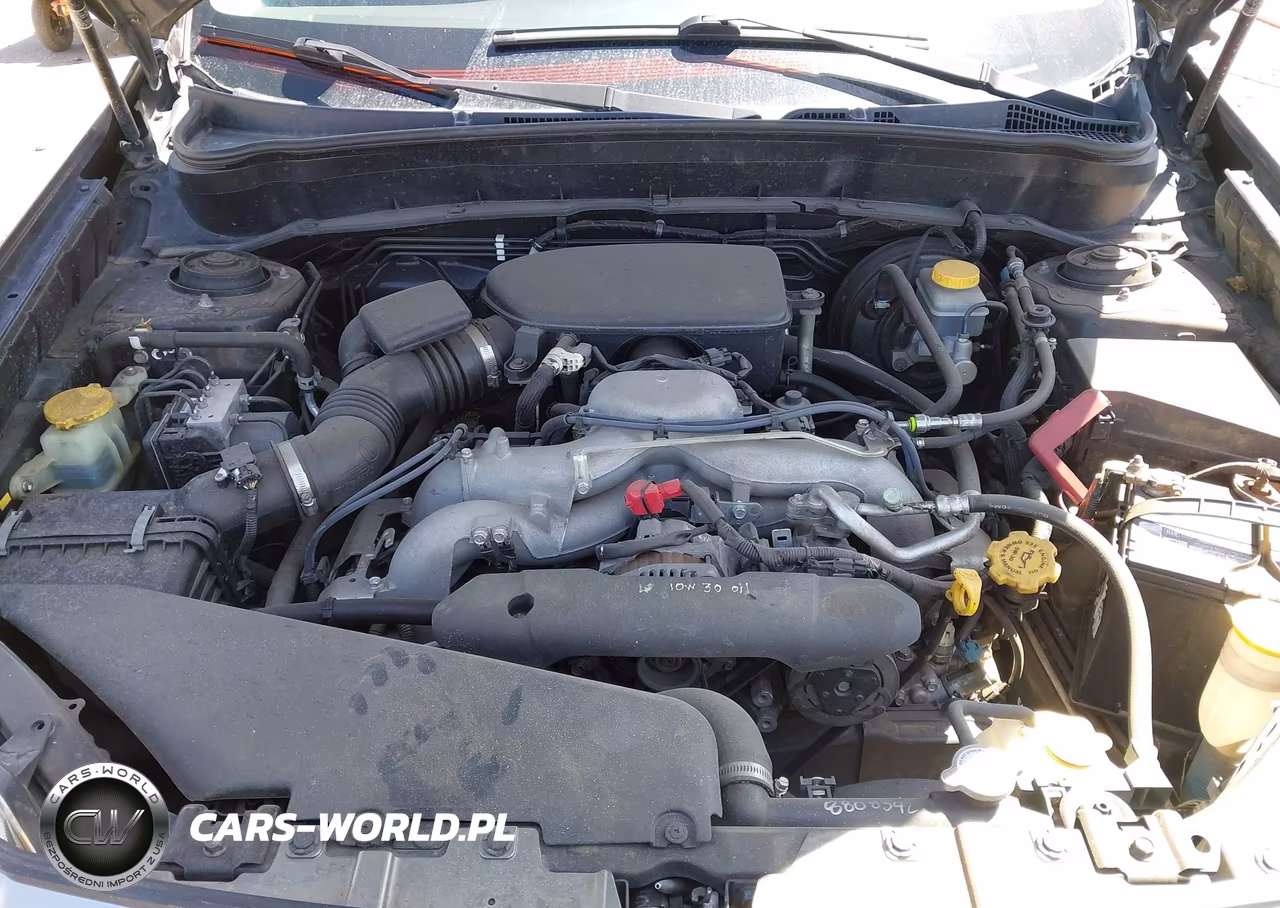 2010 Subaru Forester 2.5X Premium VIN:JF2SH6CC7AH738764 - 10