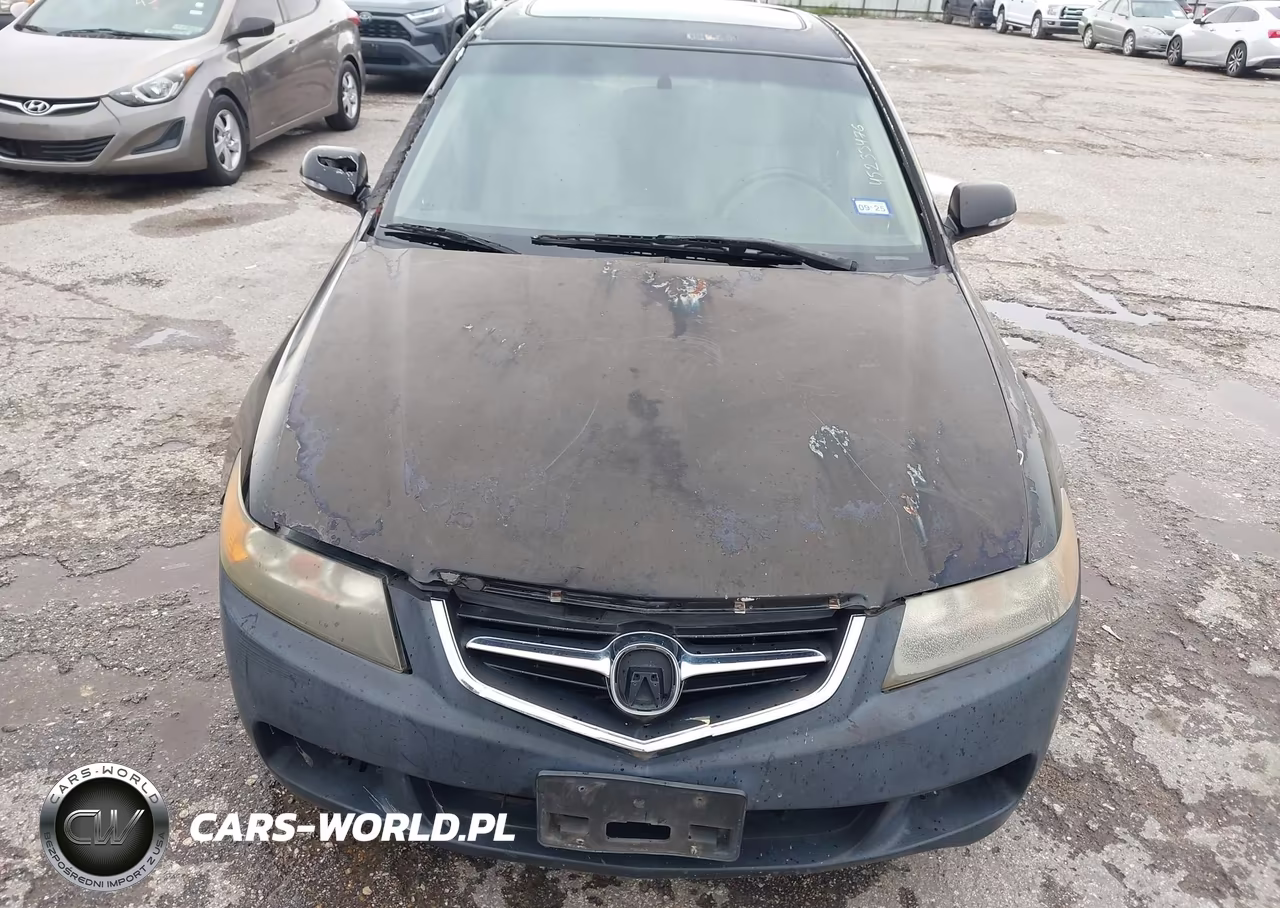 2004 Acura Tsx VIN:JH4CL96844C024777 - 6