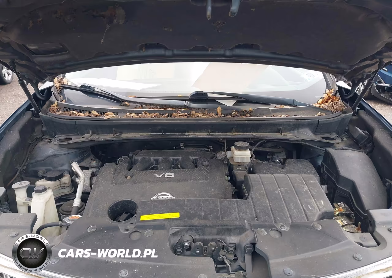 2013 Nissan Murano Sl VIN:JN8AZ1MW8DW320060 - 10