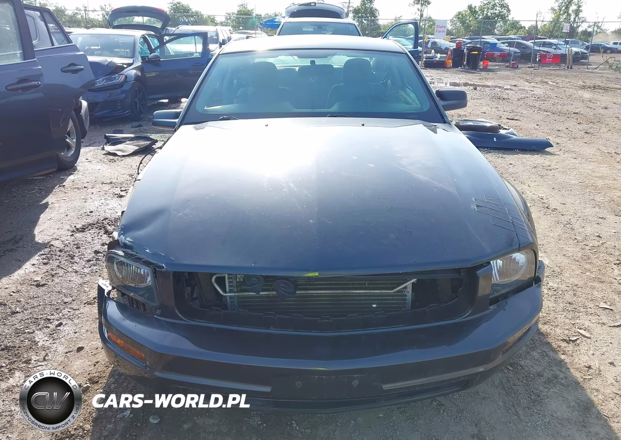 2009 Ford Mustang V6-V6 Premium VIN:1ZVHT80NX95106442 - 13
