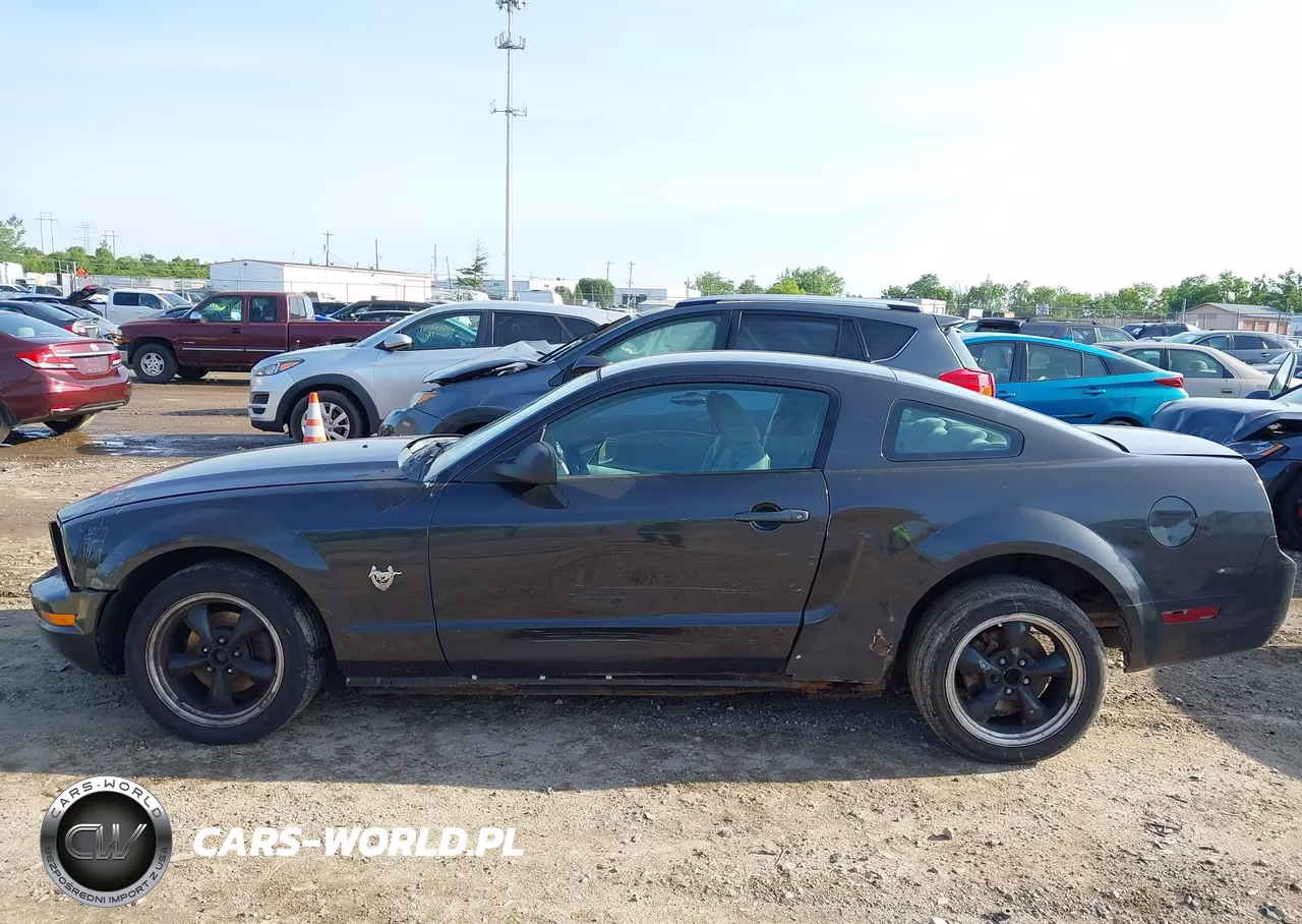 2009 Ford Mustang V6-V6 Premium VIN:1ZVHT80NX95106442 - 15