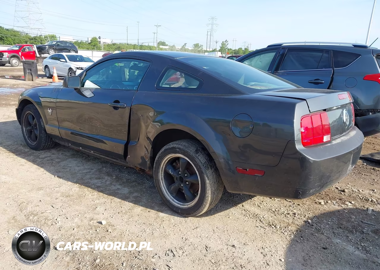 2009 Ford Mustang V6-V6 Premium VIN:1ZVHT80NX95106442 - 3