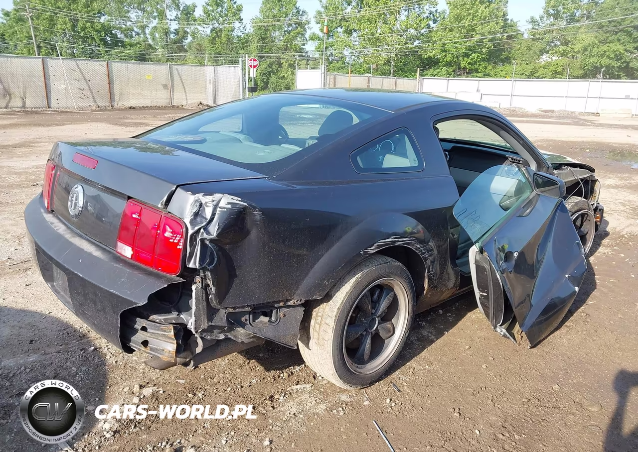 2009 Ford Mustang V6-V6 Premium VIN:1ZVHT80NX95106442 - 4