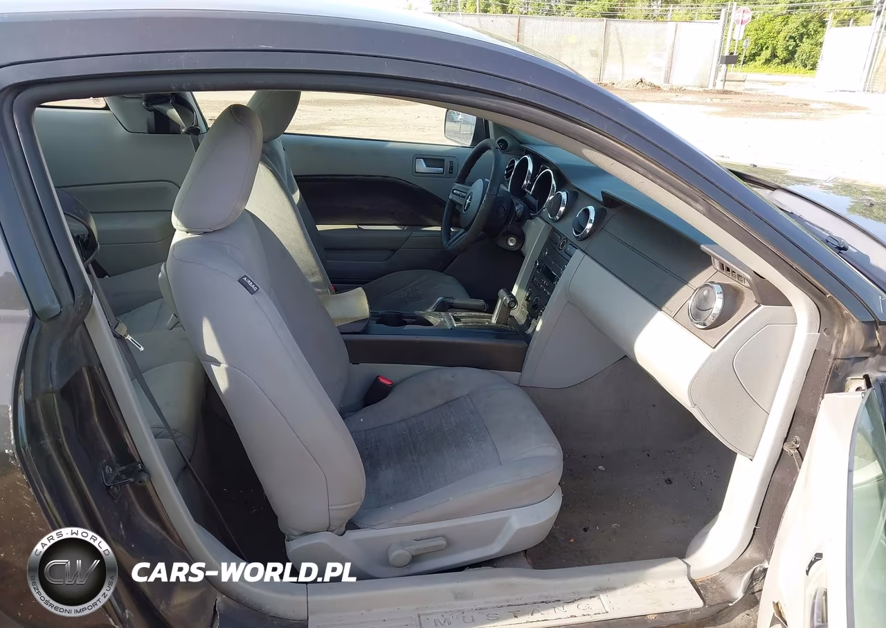 2009 Ford Mustang V6-V6 Premium VIN:1ZVHT80NX95106442 - 5