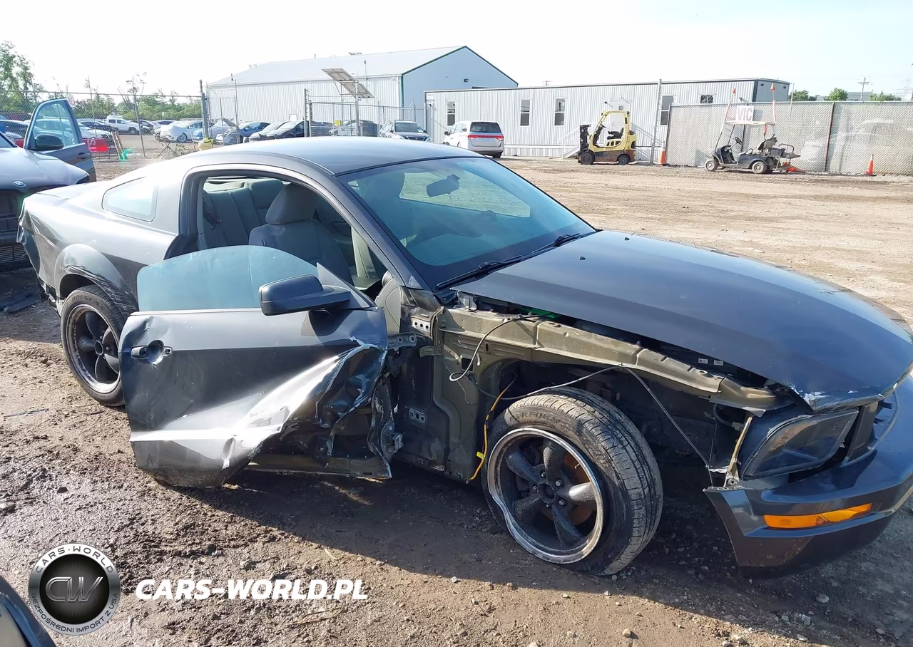 2009 Ford Mustang V6-V6 Premium VIN:1ZVHT80NX95106442 - 6