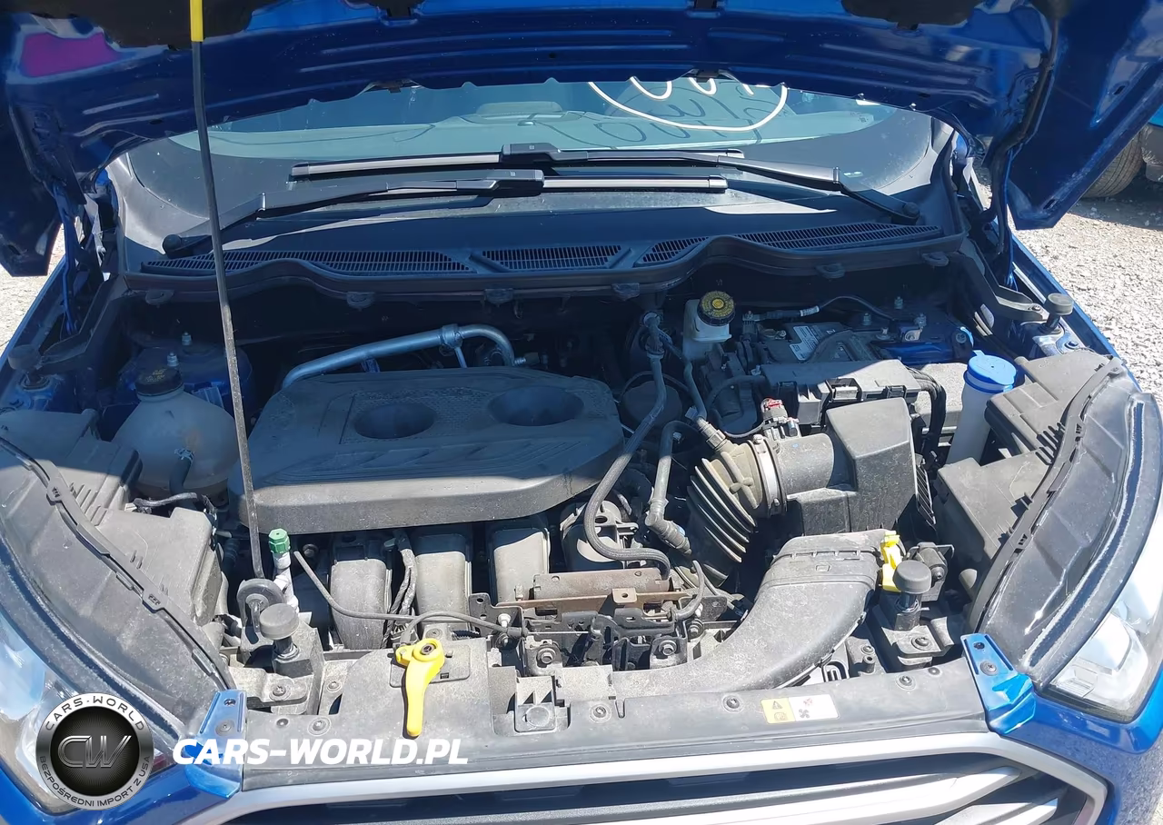 2019 Ford Ecosport Se VIN:MAJ6S3GL0KC304670 - 10