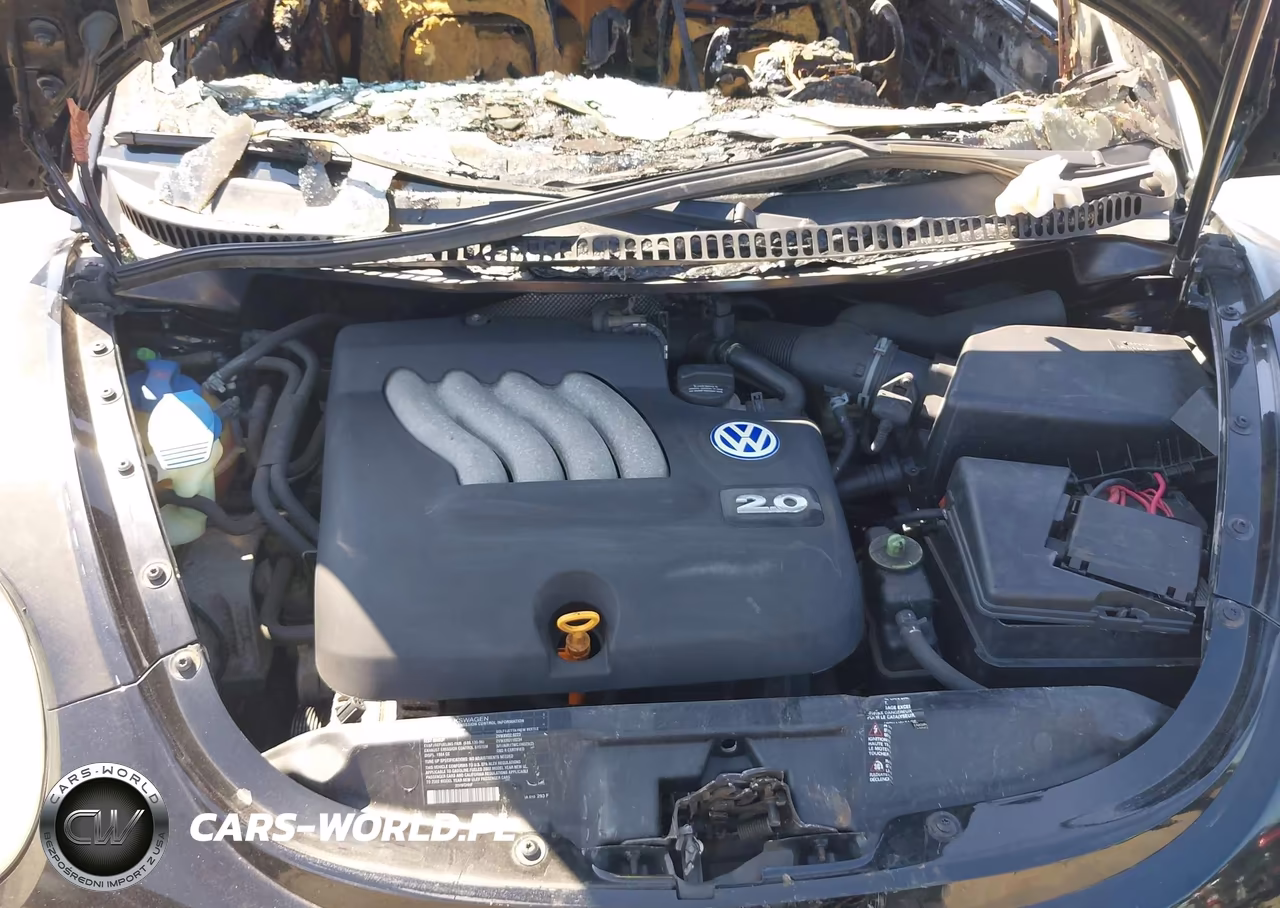 2002 Volkswagen New Beetle Gls VIN:3VWCK21C42M433507 - 10
