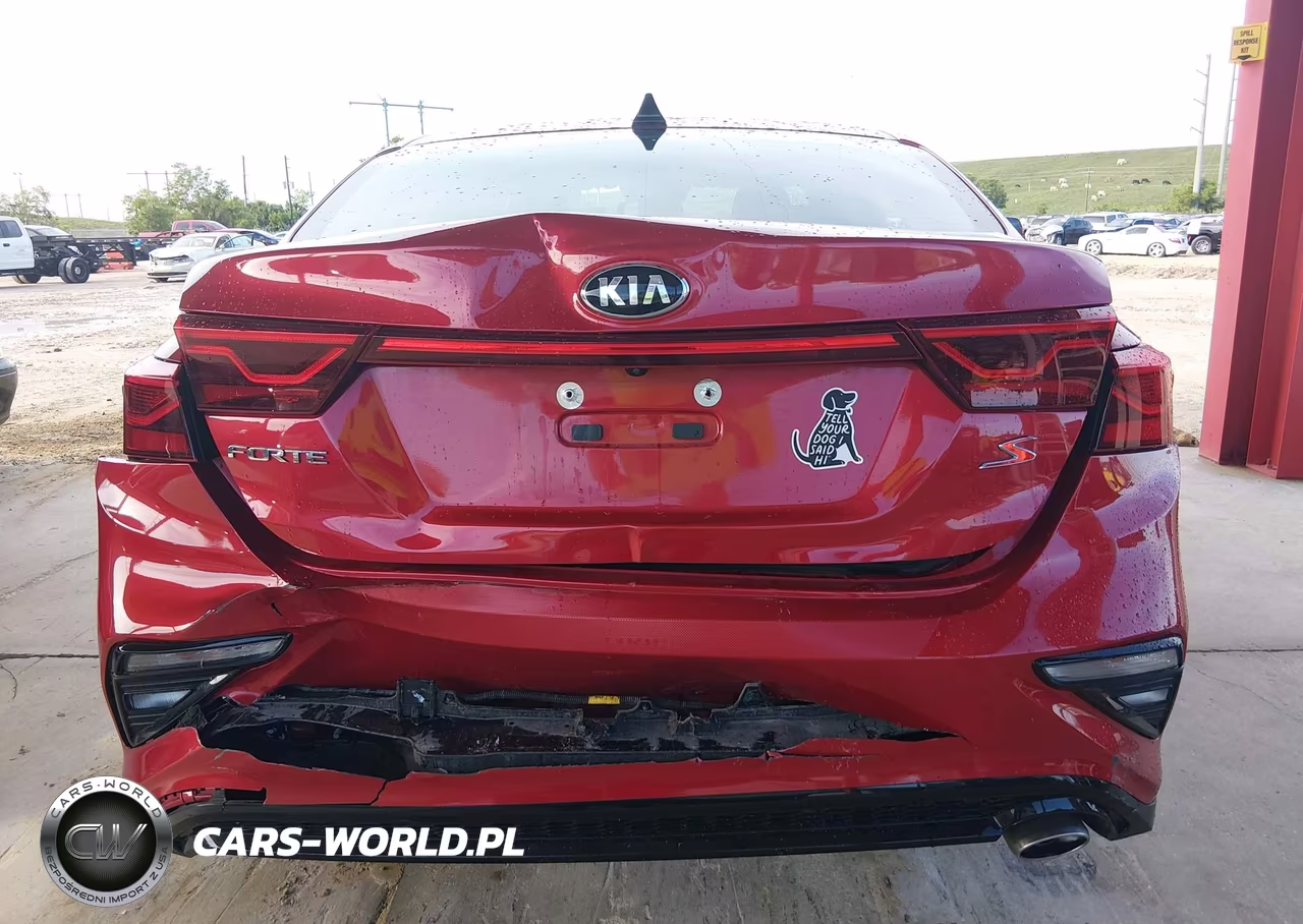 2019 Kia Forte S VIN:3KPF34AD2KE024062 - 6