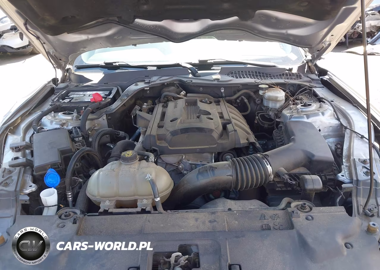 2020 Ford Mustang Ecoboost Premium Fastback VIN:1FA6P8TH4L5187813 - 10