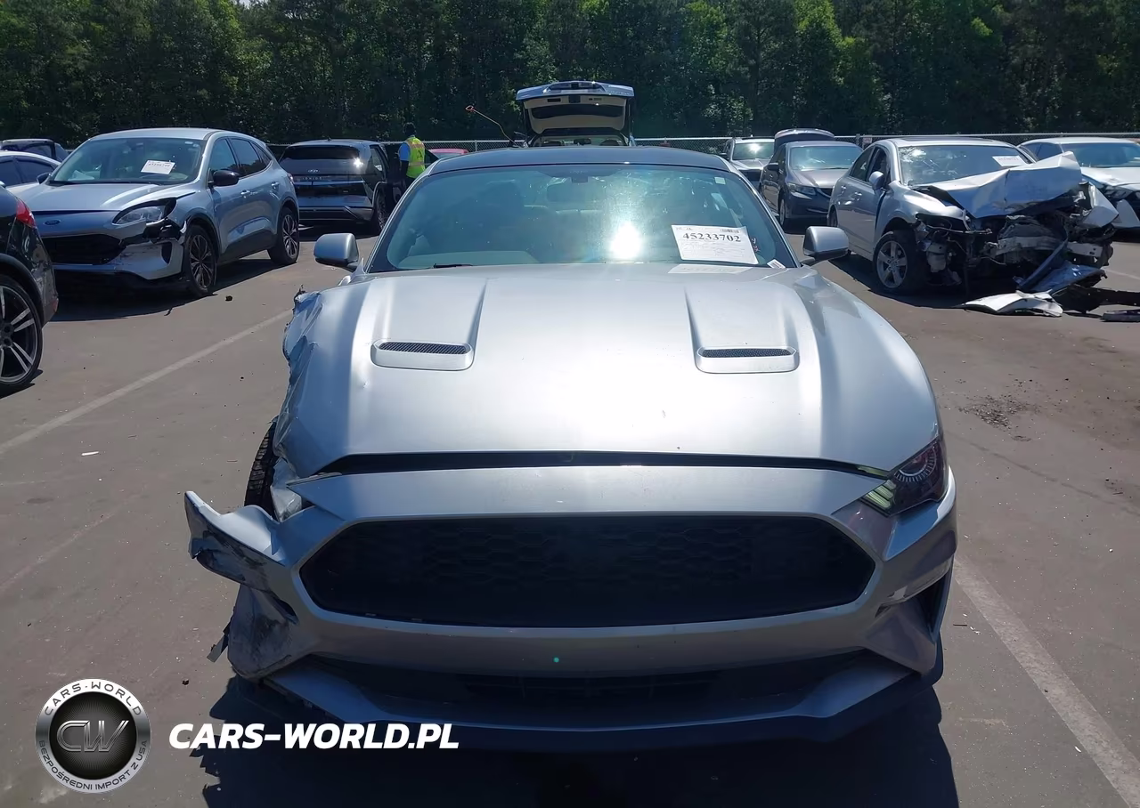 2020 Ford Mustang Ecoboost Premium Fastback VIN:1FA6P8TH4L5187813 - 12