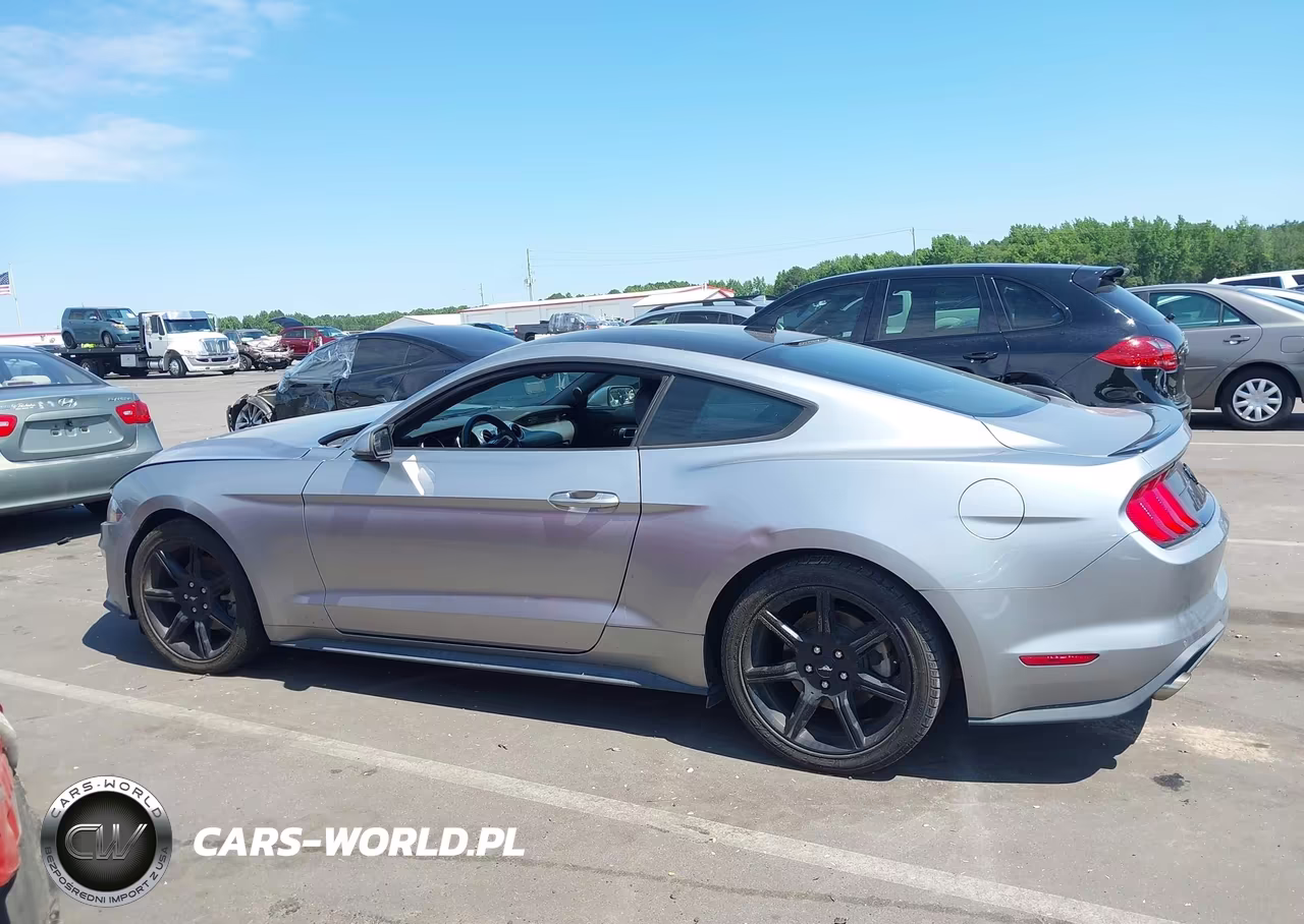 2020 Ford Mustang Ecoboost Premium Fastback VIN:1FA6P8TH4L5187813 - 14