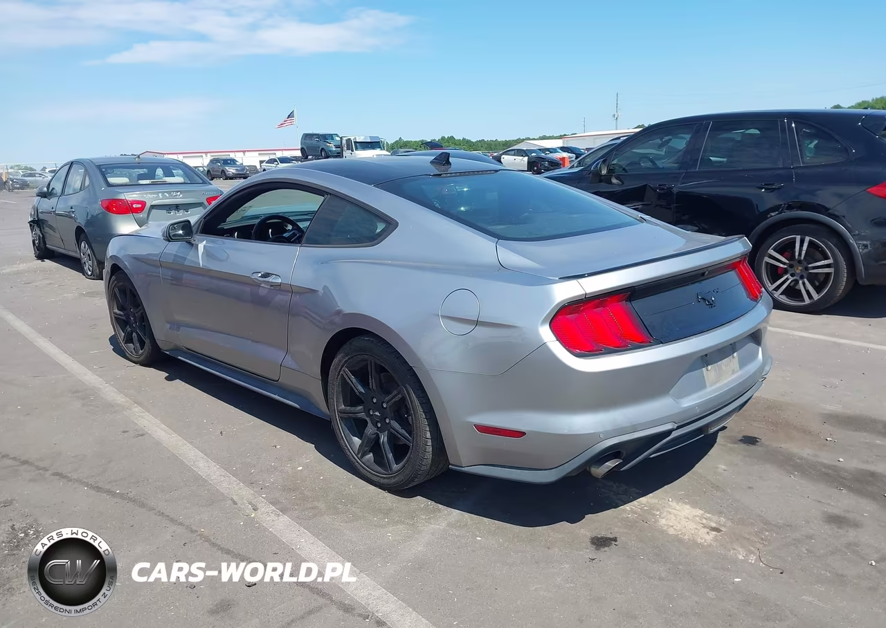 2020 Ford Mustang Ecoboost Premium Fastback VIN:1FA6P8TH4L5187813 - 3