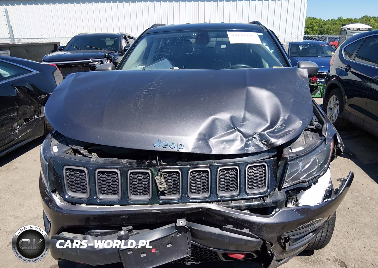 2019 Jeep Compass Trailhawk 4X4 VIN:3C4NJDDB8KT722053 - 12